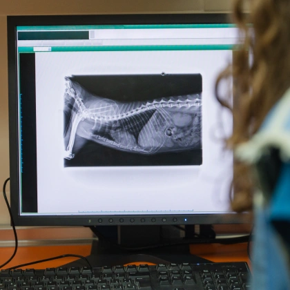 Diagnostic Care